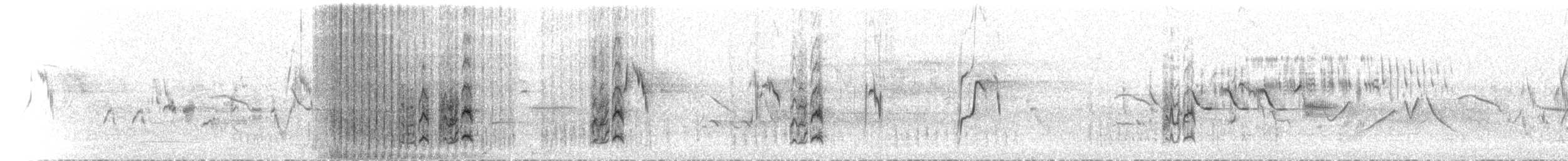 חצוצרן חרמון (מזרח תיכוני) - ML552541861