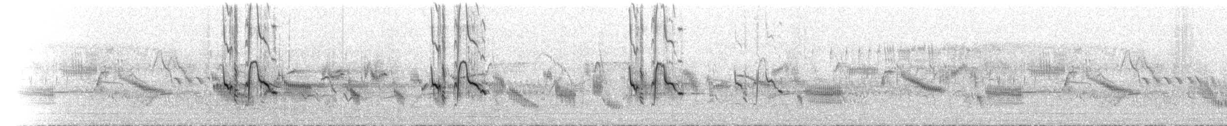 חצוצרן חרמון (מזרח תיכוני) - ML552541951