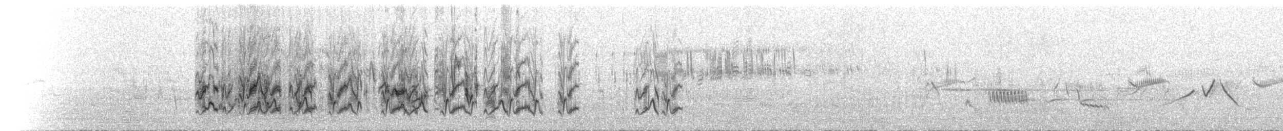 חצוצרן חרמון (מזרח תיכוני) - ML552541971