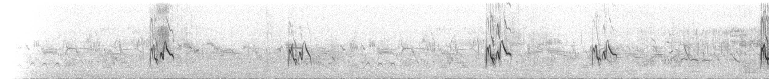 חצוצרן חרמון (מזרח תיכוני) - ML552541981