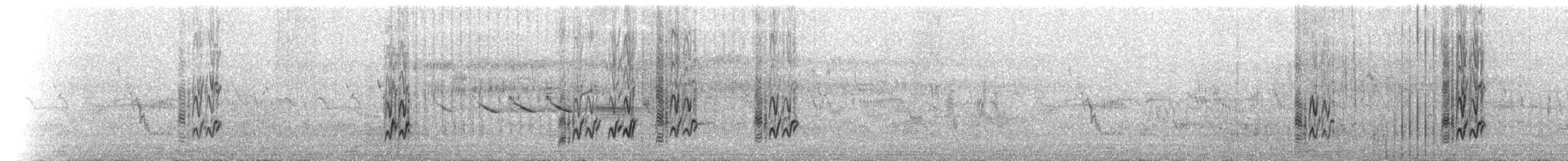 חצוצרן חרמון (מזרח תיכוני) - ML552542001