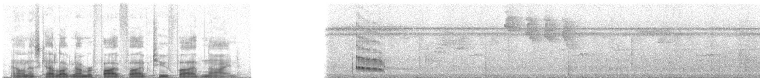 Gelbkehl-Krummschnabeltyrann - ML55259