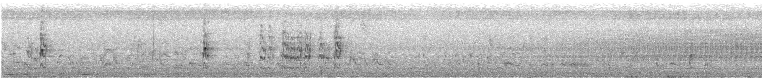 Schmalschnabel-Königstyrann - ML552604621