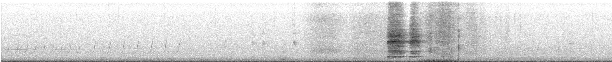Ring-necked Pheasant - ML552605541