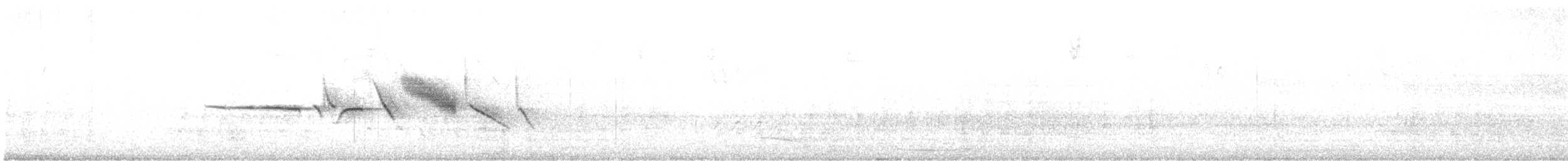 Белобровая овсянка (pugetensis) - ML552616921