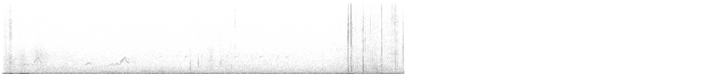 Schwarzkehl-Nachtschwalbe - ML552636481