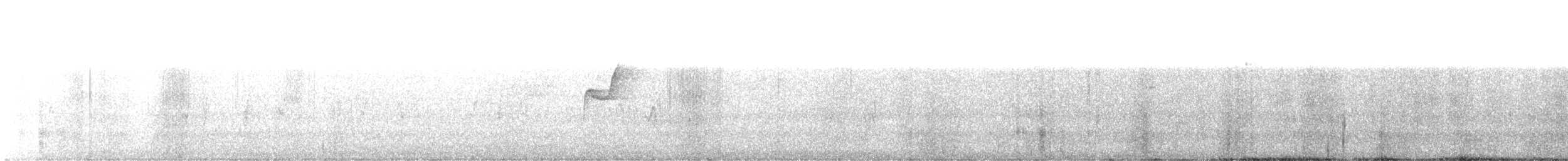Western Flycatcher (Pacific-slope) - ML552750061
