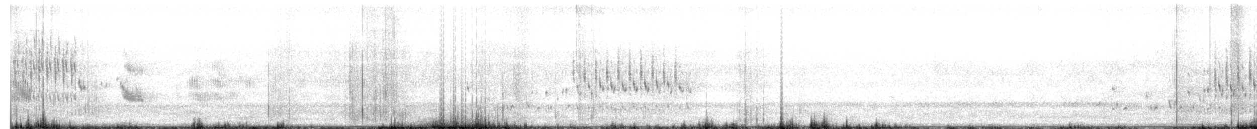 ハシナガヌマミソサザイ - ML552759991