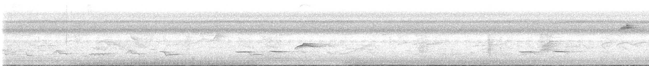 Striped Cuckoo - ML552764011