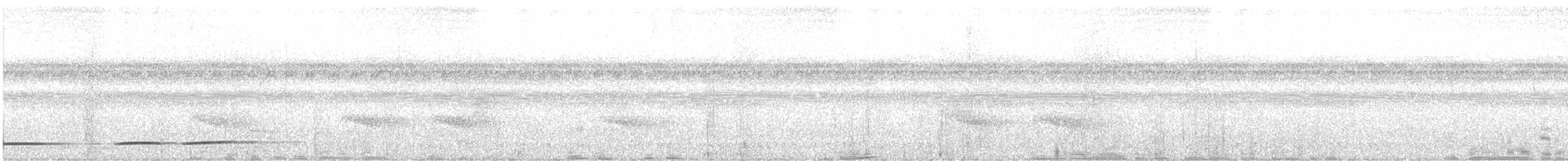 Undulated Tinamou - ML552767011