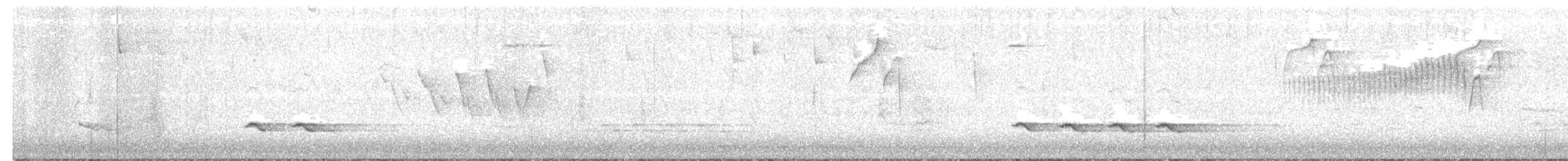 Northern Parula - ML552802001
