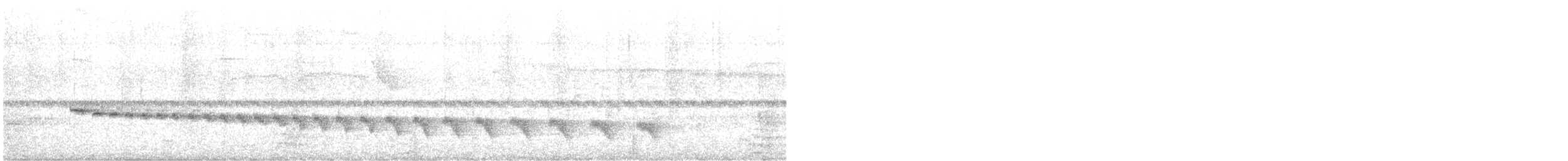 Grauband-Ameisenvogel - ML552855441