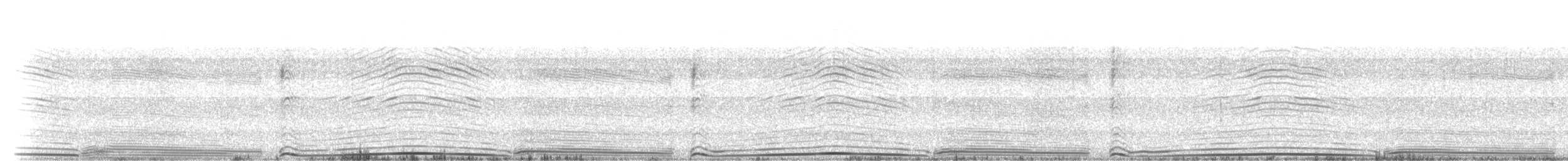 Wedge-tailed Shearwater - ML552913301