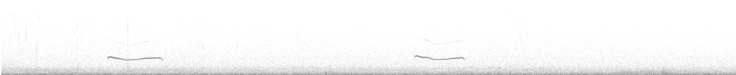 Black-bellied Plover - ML552970531