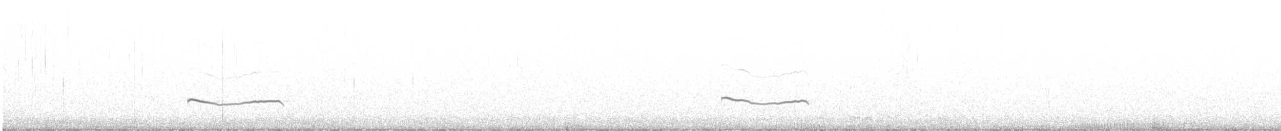 Black-bellied Plover - ML552970531
