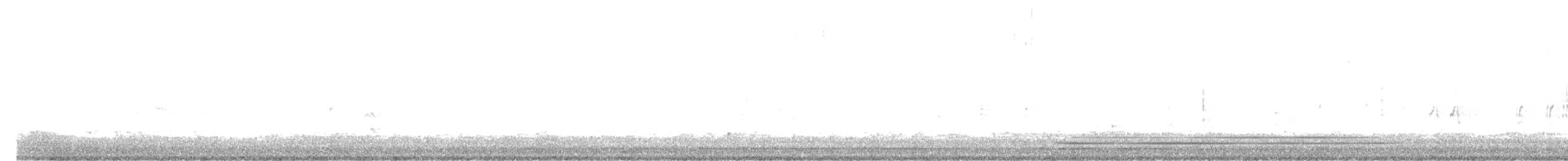 Striated Grassbird - ML553030531