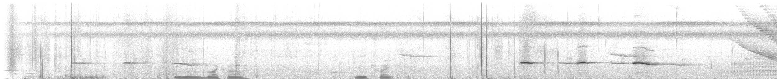 Kestane Sırtlı Karıncakuşu - ML553080671