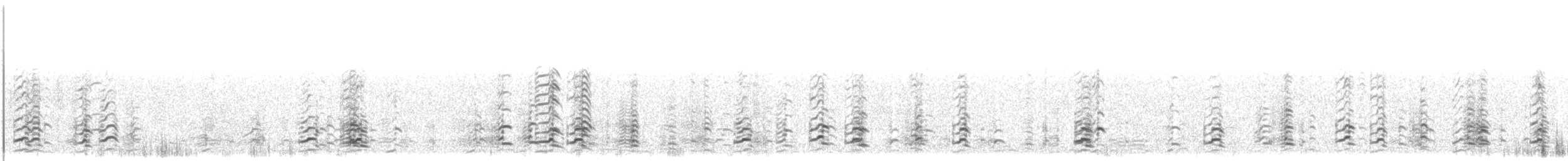 Малая канадская казарка (leucopareia) - ML553130531