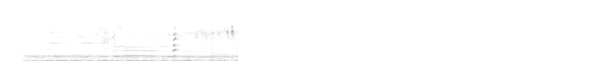 Garganey - ML553136601