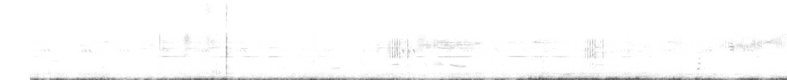 Garganey - ML553136681