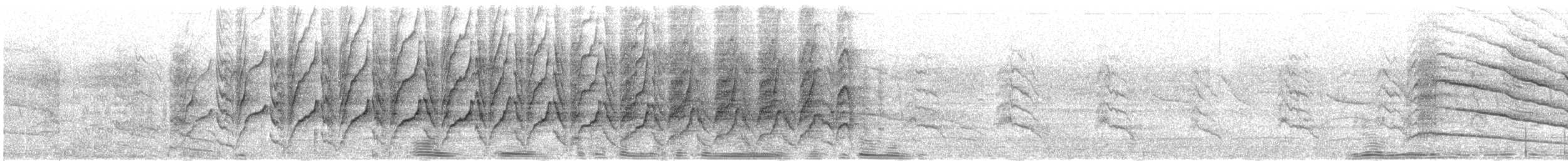 Degenschnabel-Baumsteiger - ML553216961