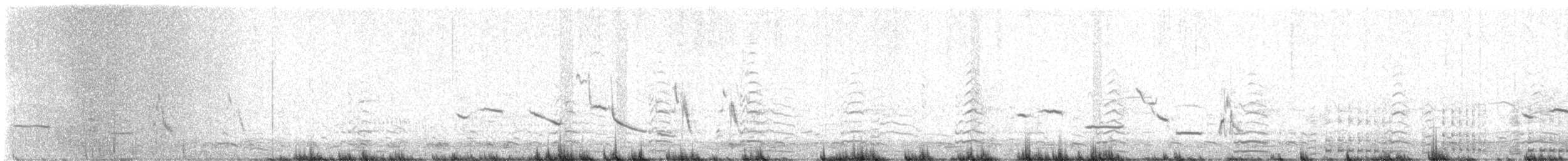 Western Meadowlark - ML553226241