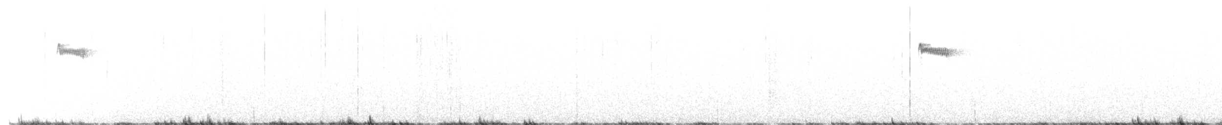 Brown Creeper (albescens/alticola) - ML553256651