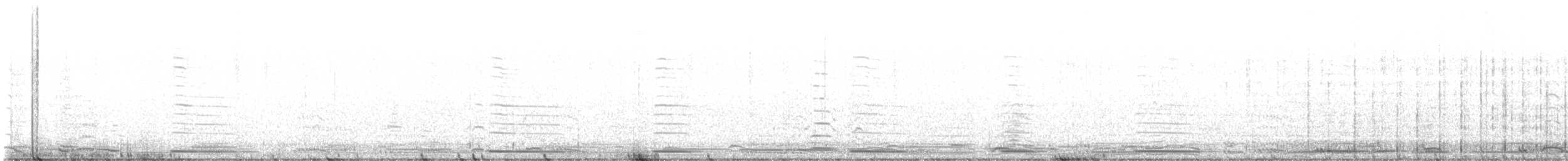 Cygne siffleur - ML553306911
