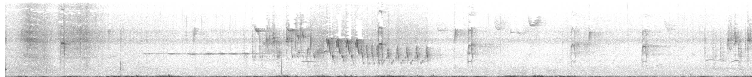 Northern House Wren - ML55331571