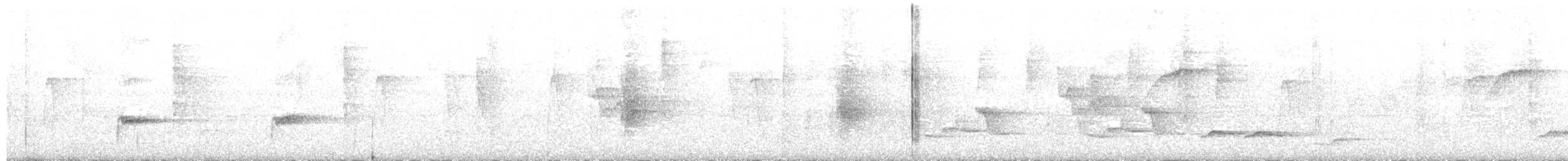Troglodyte à poitrine blanche - ML553373651