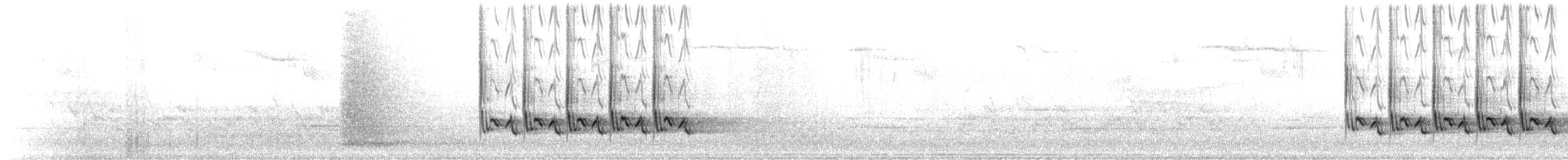 Каролинский крапивник - ML553375341