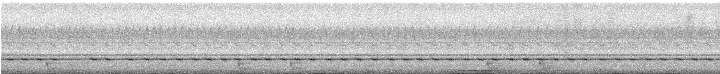 Large-tailed Nightjar - ML553390261