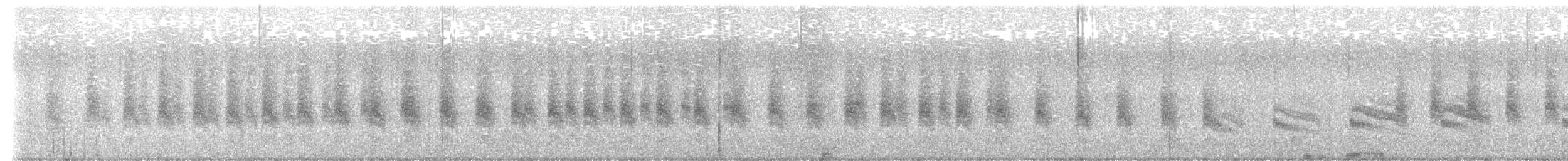 Grass Wren (Paramo) - ML553392821