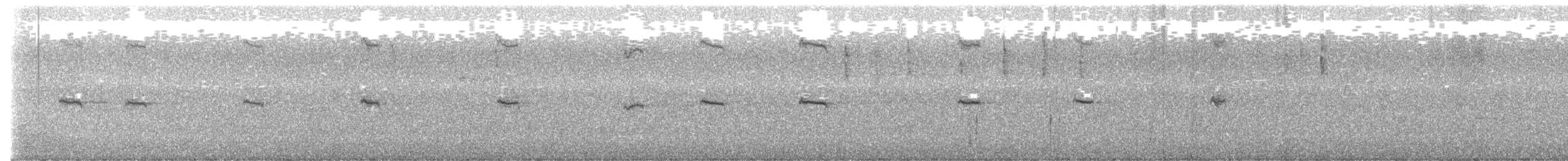 Mirlo Acuático Coroniblanco (leuconotus) - ML553397111