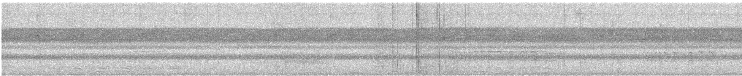 auroraskjeggfugl - ML553403101