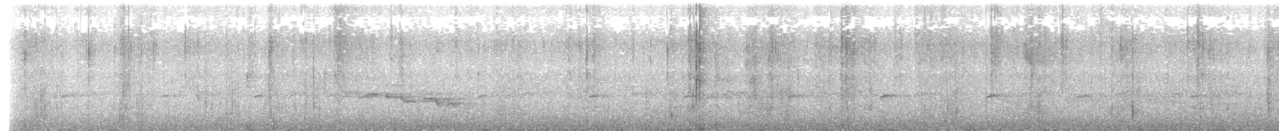 Kara Gagalı Koca Vireo - ML553405401