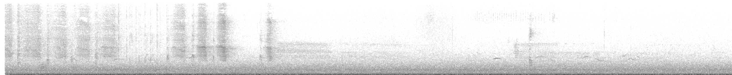Лодкохвостый гракл - ML553412611