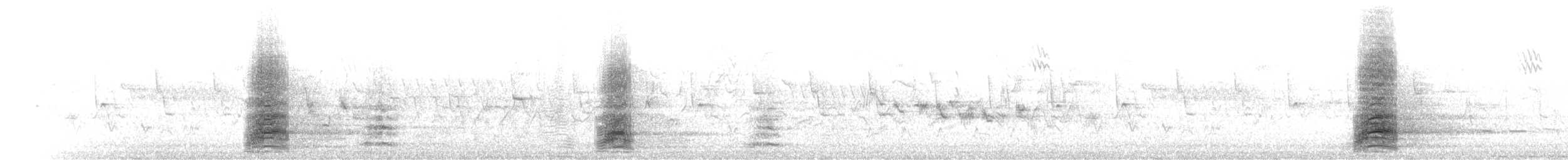 Calls (Gray) - Gray Heron (Gray)