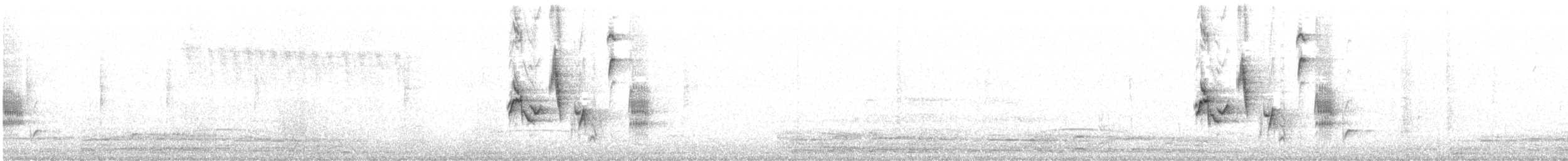 Turuncu Gagalı Bülbül Ardıcı - ML553423251