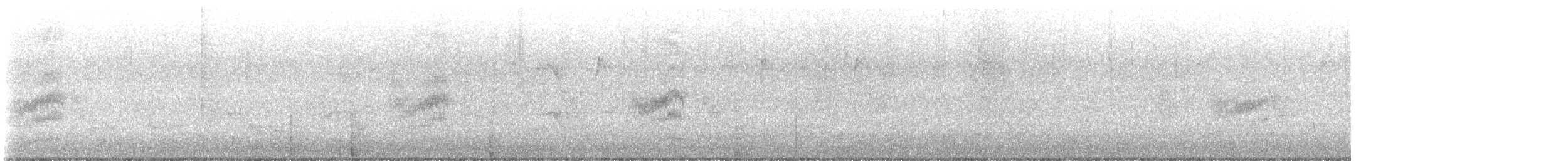 Тауї плямистий - ML553436231
