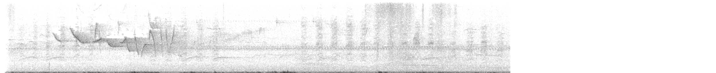 Трясогузковый певун - ML553481441