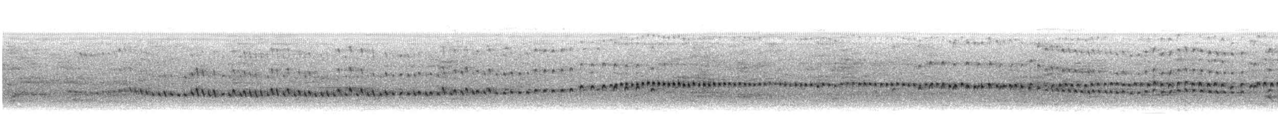 חופמי כפול-צווארון - ML553489201