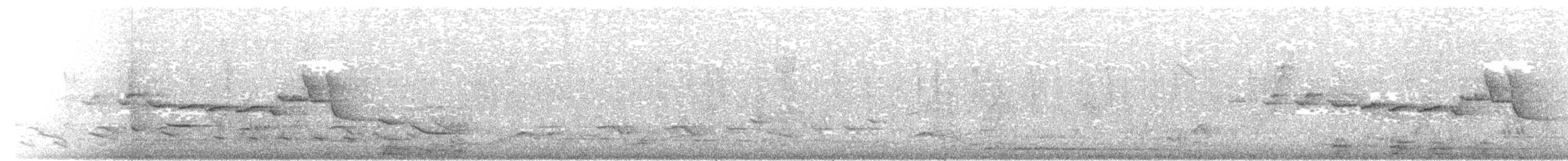 Веерохвостая корольковка - ML553502811