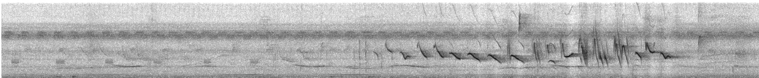 Kestane Karınlı Koca Tohumcul - ML553507531