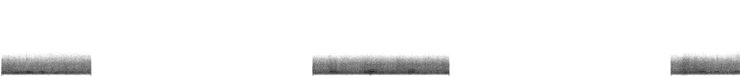 Cisne Trompetero - ML553508931