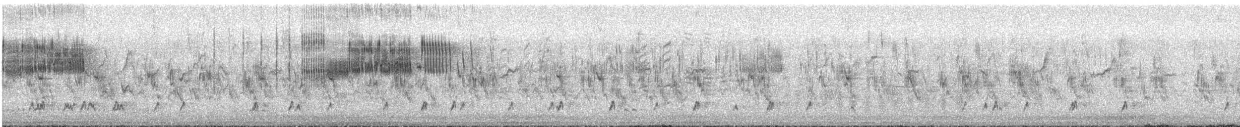 Шарга зөгийч - ML553526501