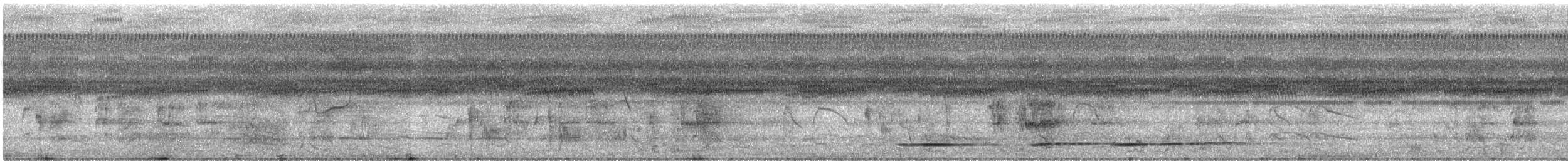 Caïque à queue courte - ML553531961