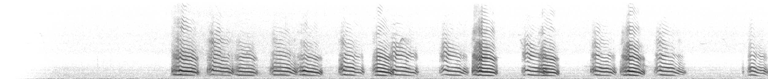 Armenienmöwe - ML553548411