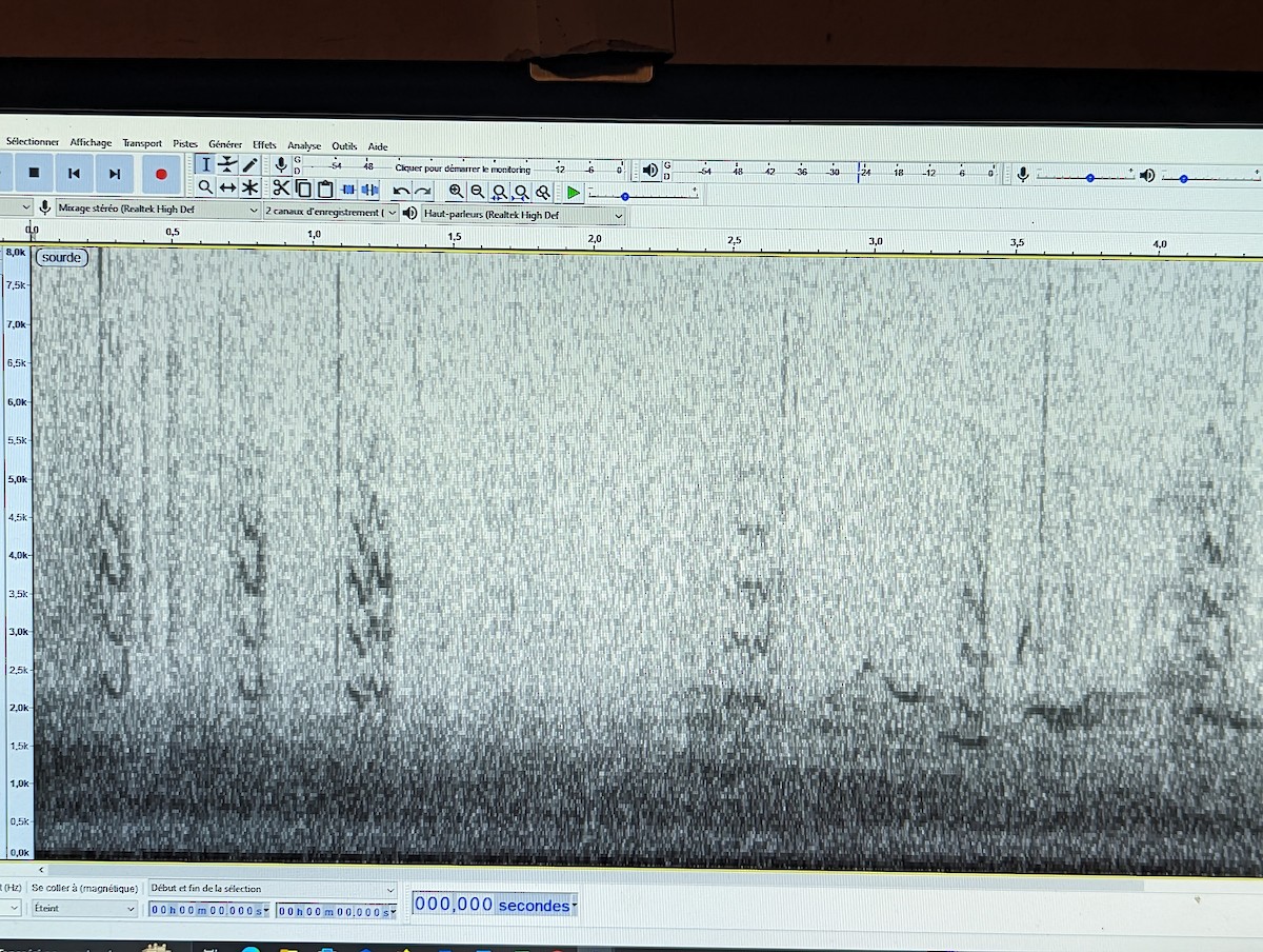 Jack Snipe - ML553549791