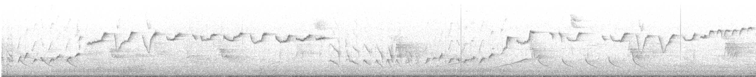 ルビーキクイタダキ - ML553615731